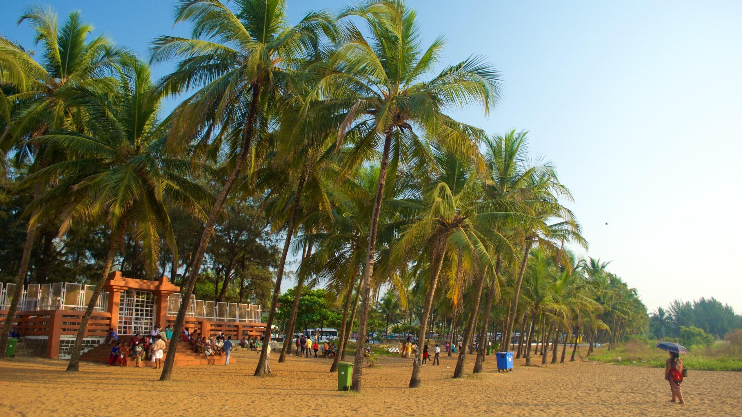 Miramar - Cab Goa pickup location sightseeing spot. Showing real photo from Miramar. Image 4 of 6.