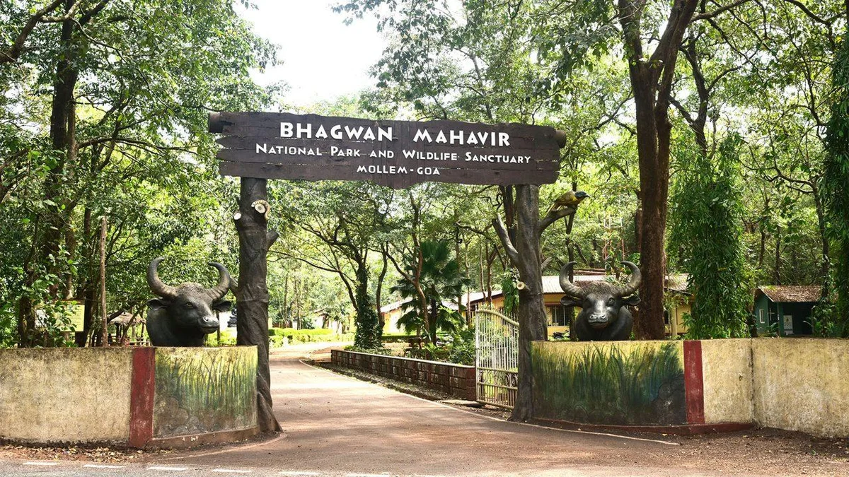 Spice Plantation