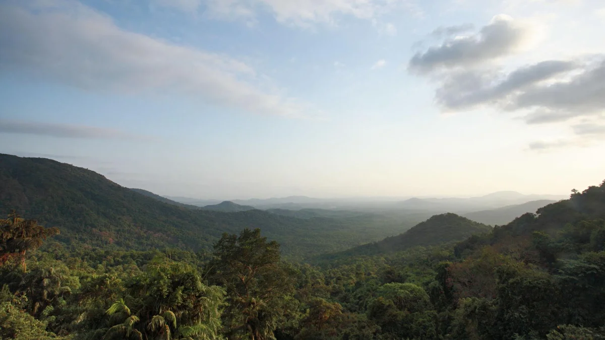 Jungle jeep tour at Bhagwan Mahavir Sanctuary