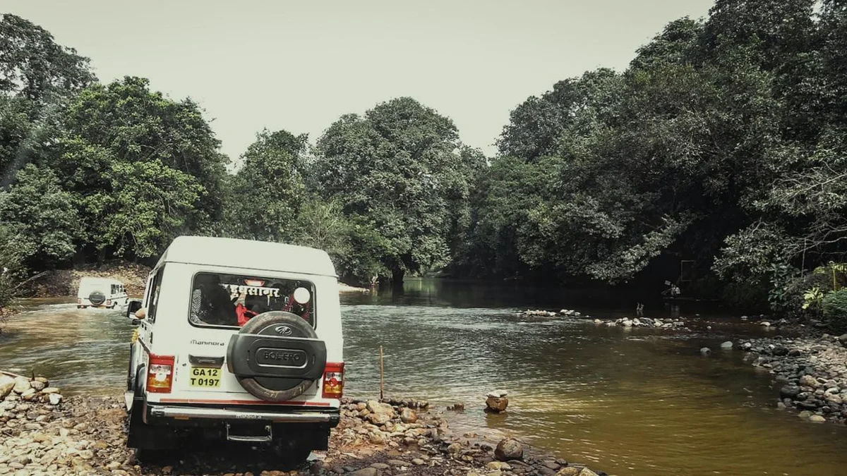 Scenic wilderness in Mollem National Park