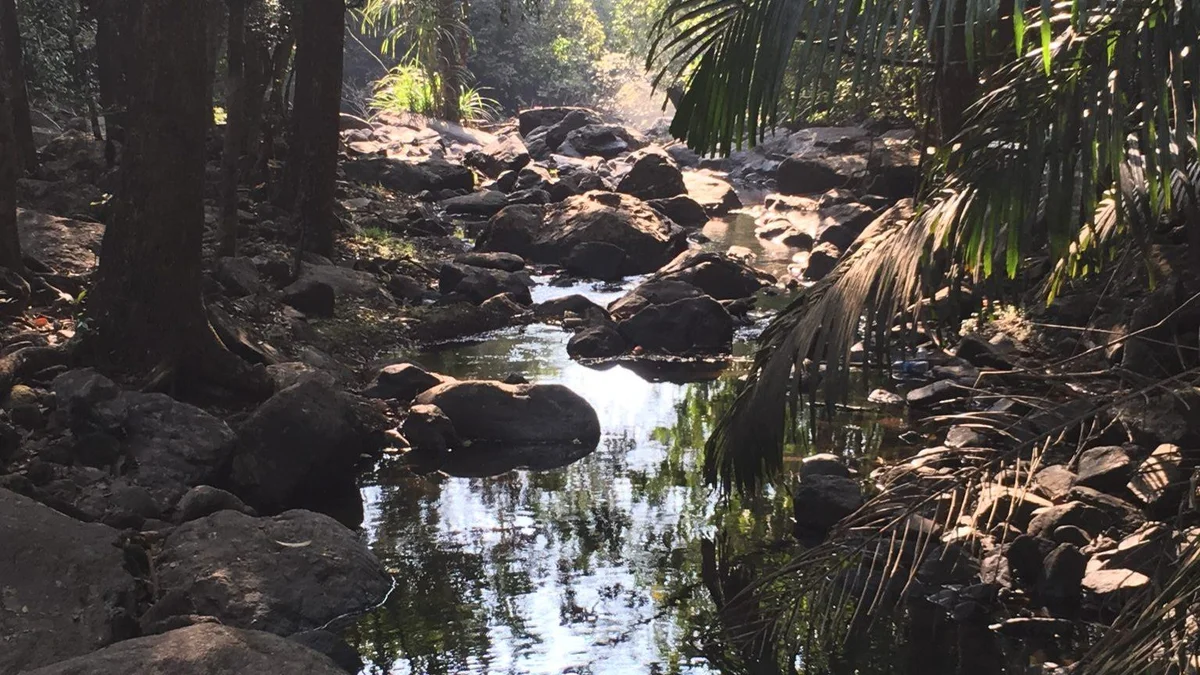 Adventure safari at Bhagwan Mahavir Wildlife Sanctuary
