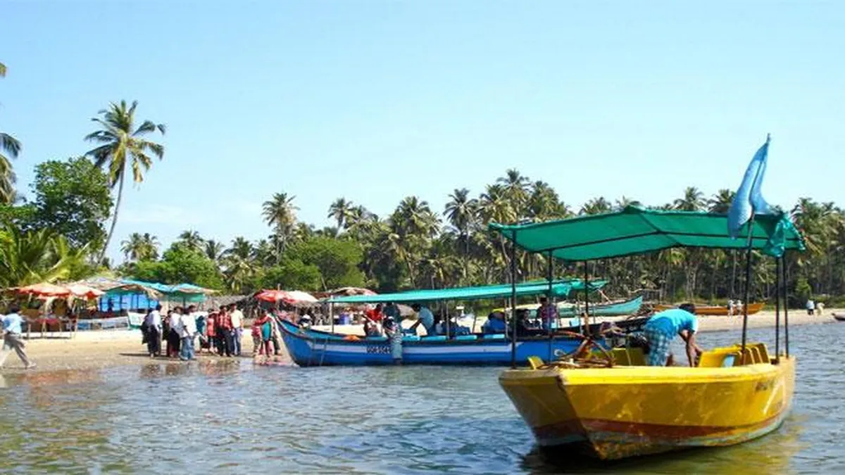 Dolphin Spotting Boat at Coco Beach