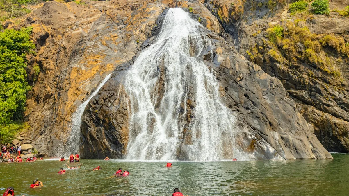 Feeding wild monkeys at Dudhsagar Waterfall