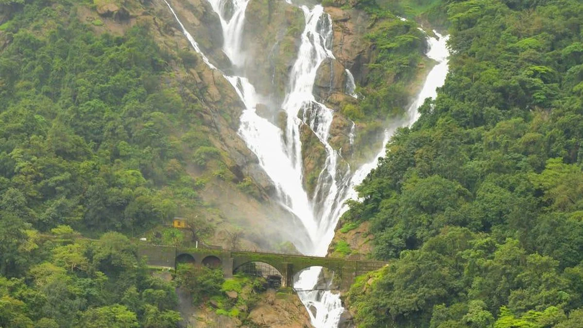 Refreshing natural pool at Dudhsagar Waterfall Goa