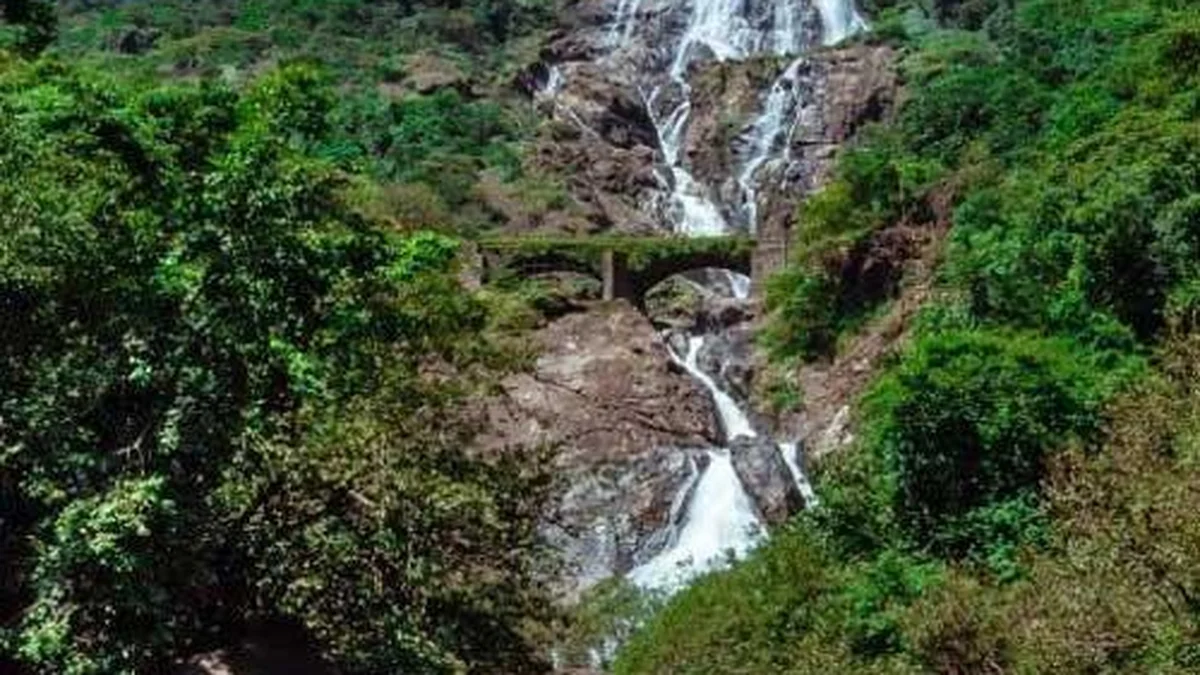 Tropical forest around Dudhsagar Waterfall